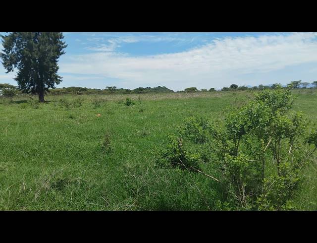 5HA FARM FOR SALE IN ELIM